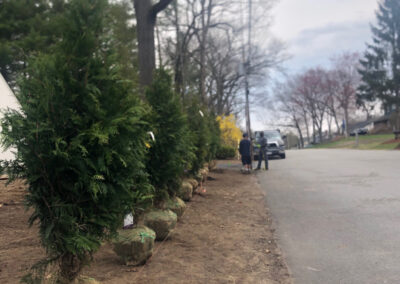 Shrub Planting in Nashua, NH.