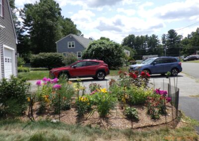 Bunny Proof Gardens in Billerica, MA