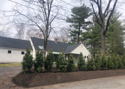 Shrub Planting in Nashua, NH.