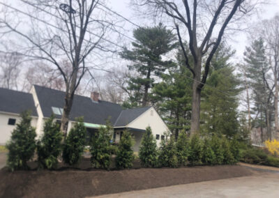 Shrub Planting in Nashua, NH.
