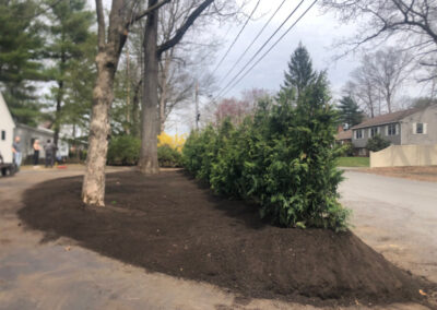 Shrub Planting in Nashua, NH.