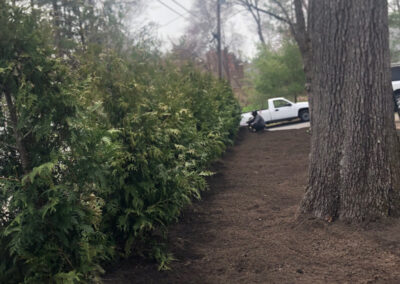 Shrub Planting in Nashua, NH.