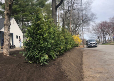 Shrub Planting in Nashua, NH.