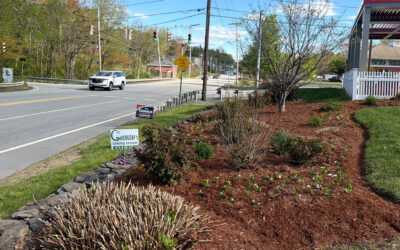 🌸Garden Maintenance & Annual Flower Installation in Tyngsboro, MA
