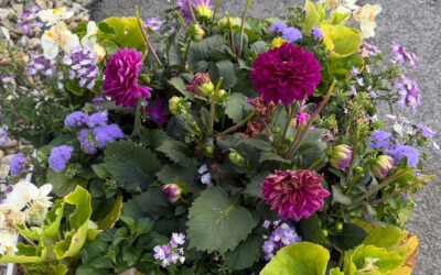 Annual Flower Planting at the Tyngsboro Dream Diner