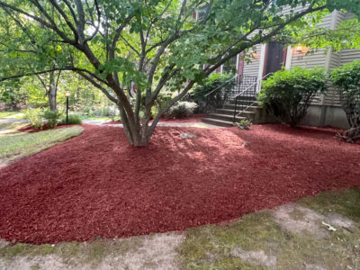 Derry Completed 8-20-2025 #1