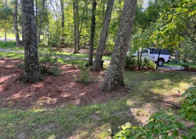 Derry Mark Before 8-26-2025 #2