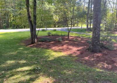 Derry Mark Before 8-26-2025 #3