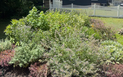 Garden Maintenance in Nashua, NH