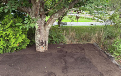 Garden Metamorphosis in Townsend, MA — A Fresh Start!