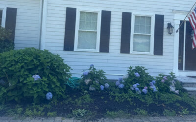 🌿 Garden Maintenance in Andover, MA