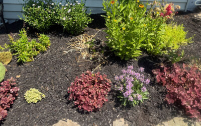 Garden Installation & Maintenance in Pelham, NH