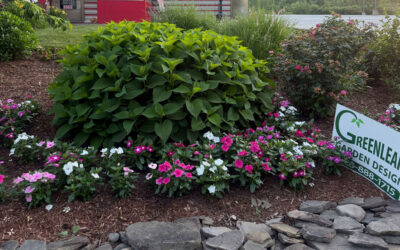 Garden Maintenance & Summer Flower Planting in Nashua, NH