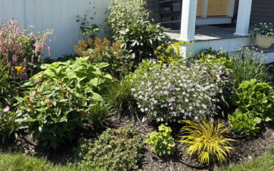 Small Space, Spectacular Blooms! | Hudson, NH