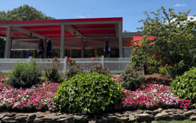 700 Colorful Vincas Stealing the Show in Tyngsboro, MA