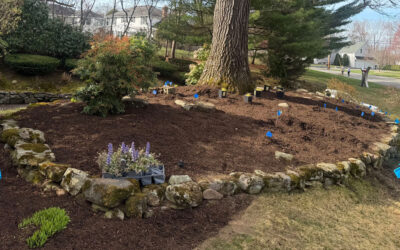 Garden Design & Installation in Lowell, MA