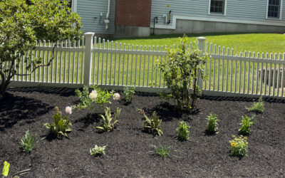 🌸Garden Design & Installation in Acton, MA | Greenleaf’s Garden Design