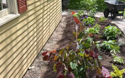🌿Garden Design & Installation in Bedford, NH