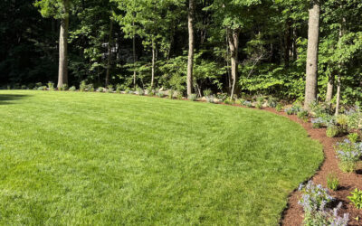 Garden Design & Installation in Tyngsboro, MA🌿