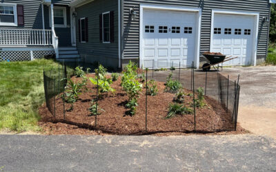 Garden Design and Installation in Billerica, MA.