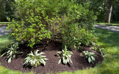 Garden Design and Installation in Dunstable, MA