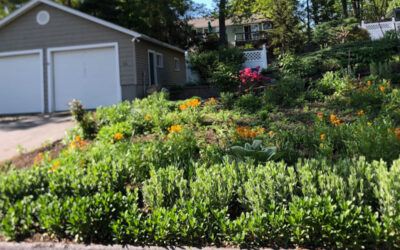 Garden Installation and Design in Littleton, MA.