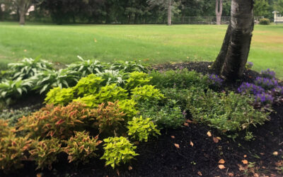 Garden Installation in South Nashua, NH Progress Report.