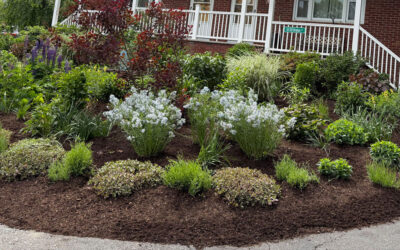 🌸Garden Maintenance and Installation in Dracut, MA