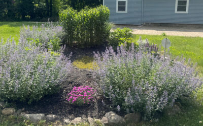 Garden Maintenance and Installation in Pepperell, MA