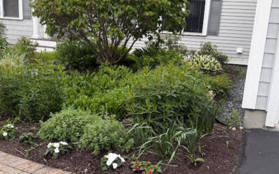 🌿 Garden Maintenance in Bedford, NH