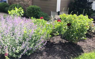 Garden Maintenance in Bolton, MA.