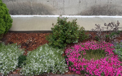 Garden Maintenance in Dracut, MA