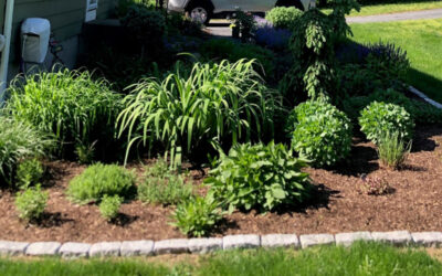 Garden Maintenance in Groton, MA.