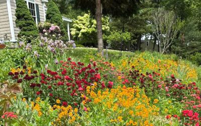 Garden Maintenance in Littleton, MA