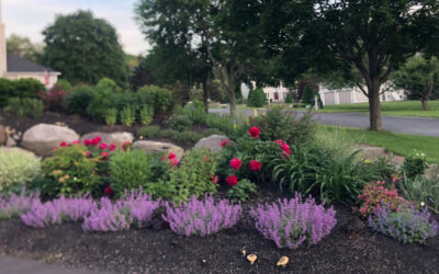 Garden Maintenance in Nashua, NH.