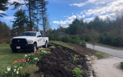 🌷Spring Color Garden in Conway