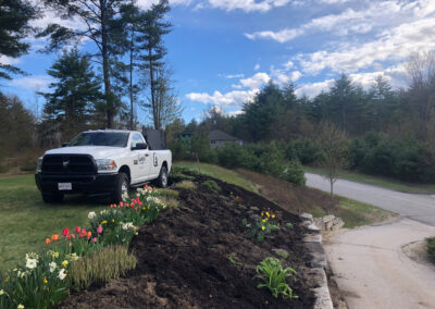 Spring Color Garden in Conway