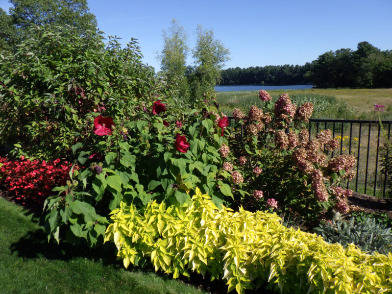 Greenleaf's Garden Design, Groton, MA, 2025 (5)