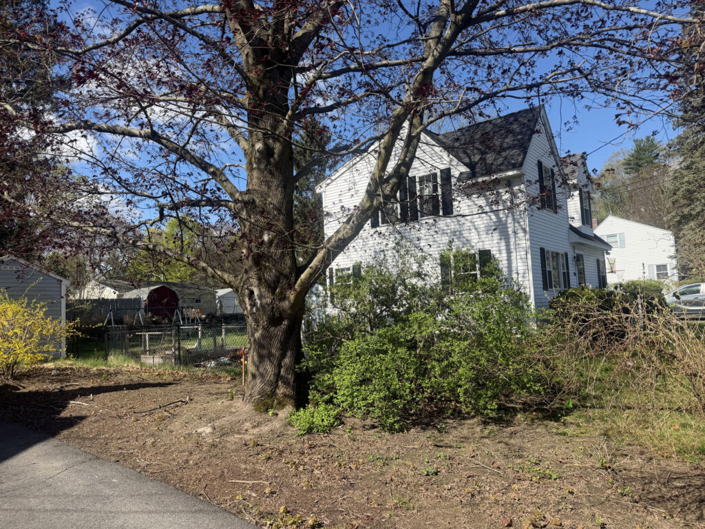 Garden Design in Lowell, MA