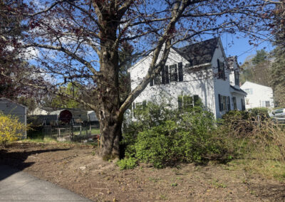Garden Design in Lowell, MA