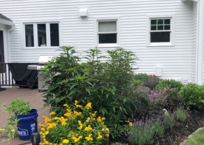 Greenleaf's Garden Design Amherst, NH 2025 1 (17)