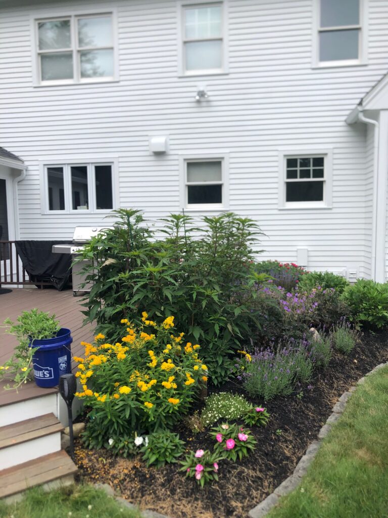 Greenleaf's Garden Design Amherst, NH 2025 1 (17)