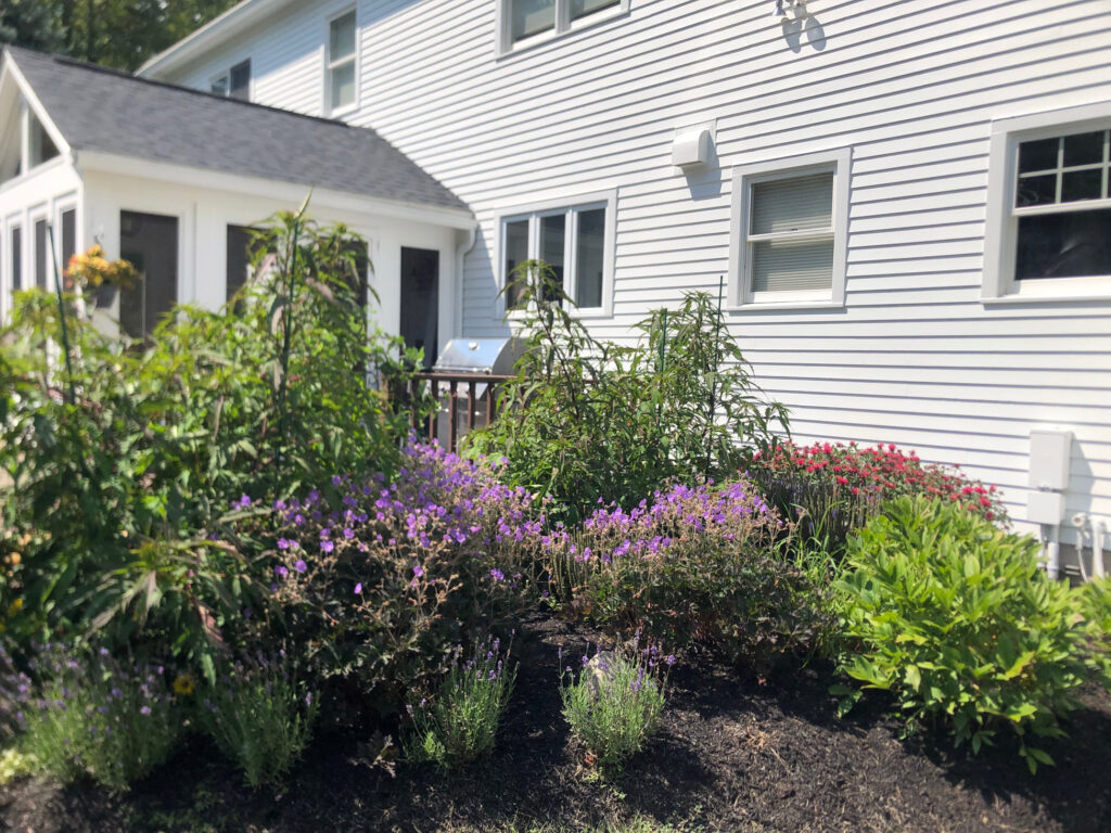 Greenleaf's Garden Design Amherst, NH 2025 1 (20)