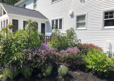 Greenleaf's Garden Design Amherst, NH 2025 1 (20)