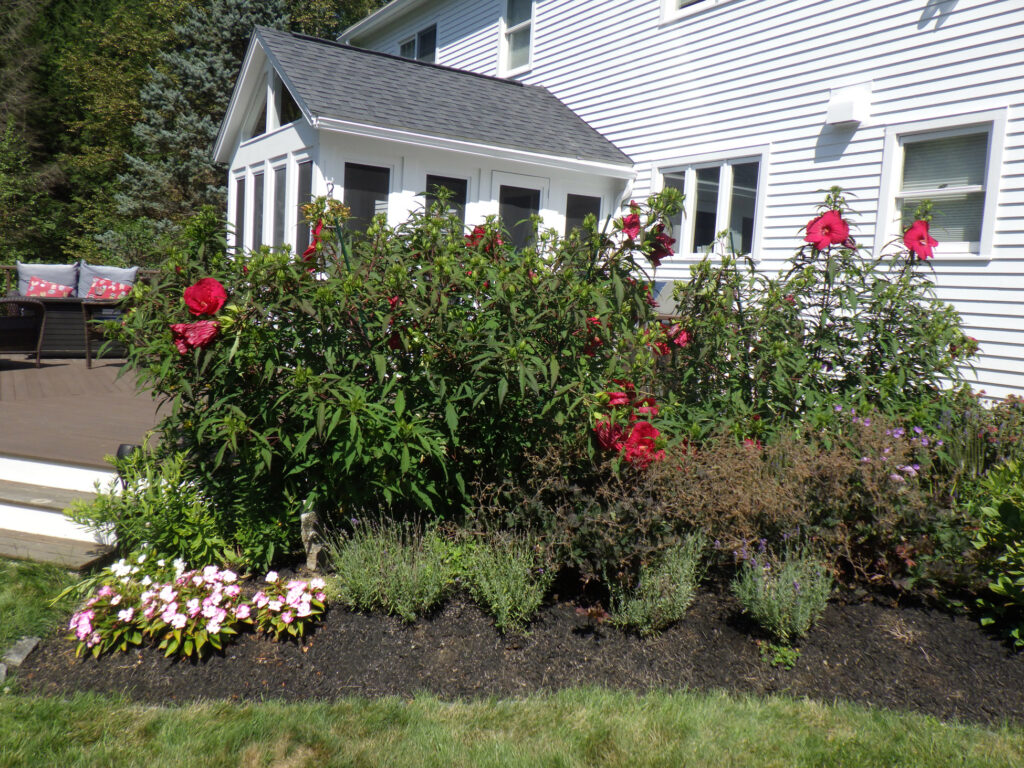 Greenleaf's Garden Design Amherst, NH 2025 1 (5)