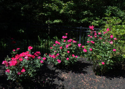Greenleaf's Garden Design Amherst, NH 2025 1 (7)