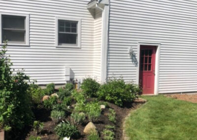 Purples in Amherst, NH