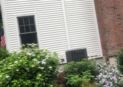 Purples in Amherst, NH