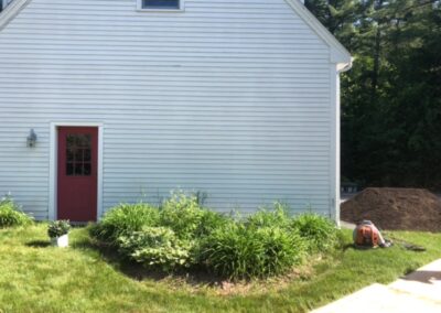 Purples in Amherst, NH