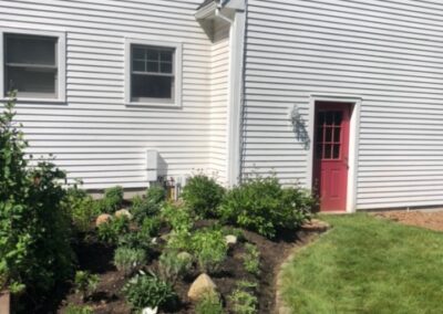 Purples in Amherst, NH